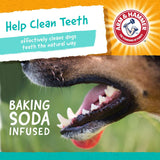 for Pets Treadz Dog Dental Chews, Gorilla, 6 Pcs | Arm and Hammer Baking Soda Enhanced Gorilla Shaped Dog Dental Chew Treats for Fresh Breath and Tartar Control