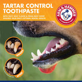 for Pets Tartar Control Enzymatic Toothpaste for Dogs Reduces Plaque & Tartar Buildup Safe for Puppies Beef Flavor, 2.5 Ounces Dog Toothpaste (Pack of 1)