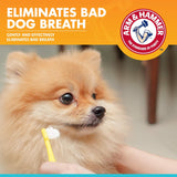 for Pets Clinical Care Dental Enzymatic Toothpaste for Dogs Soothes Inflamed Gums Safe for Puppies 1 Pack Fresh Breath Vanilla Ginger (Pack of 1)