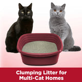 Clump & Seal Multi-Cat Complete Odor Sealing Clumping Cat Litter, 14 Lb